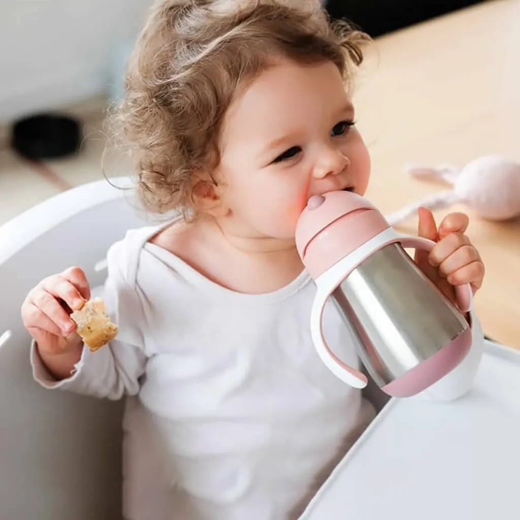 Beaba Stainless Steel Straw Sippy Cup